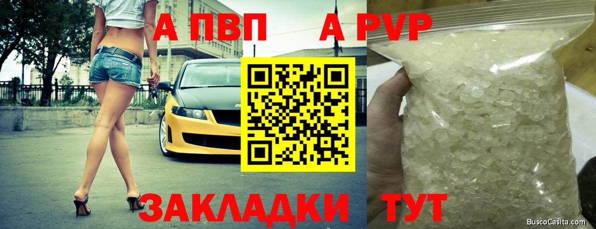 A PVP VHQ Сыктывкар