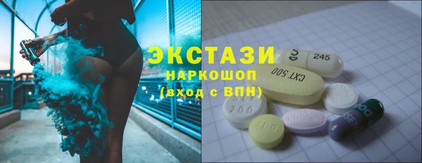 крисы Козельск