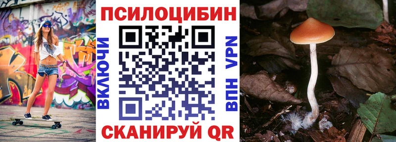купить   Сыктывкар  Псилоцибиновые грибы мухоморы 