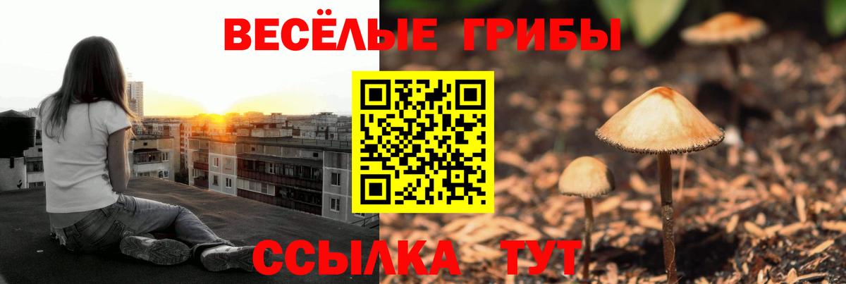 Галлюциногенные грибы Cubensis  Вход с VPN  цена   Сыктывкар 