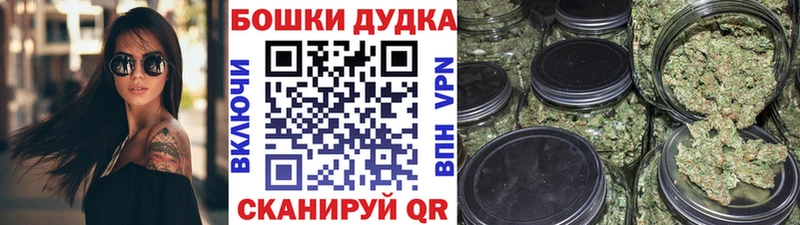 Канабис Amnesia  продажа наркотиков  Сыктывкар 
